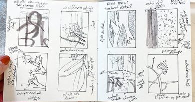 A sketchbook spread filled with eight boxes containing pen drawings on nature up close as well as notes from the artist.